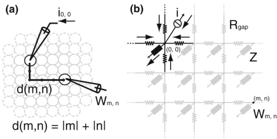 Fig. 5 Infinite networks of iden- iden-tical (passive)  single-compart-mental neurons