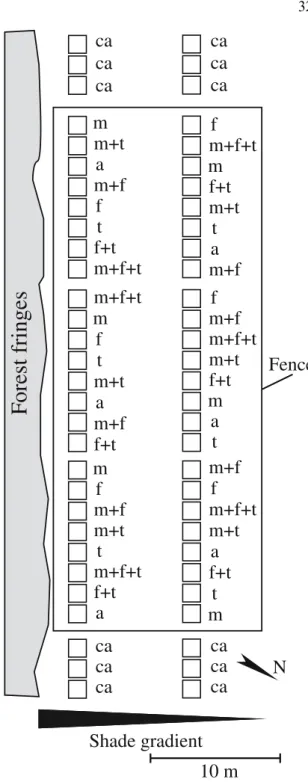 Figure 1. Experimental design with three blocks of plots in two shade conditions in the exclosure and additional plots  un-der the inﬂuence of cattle activity