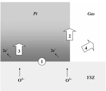 Fig. 8 Scheme of the destiny of Pt–O species produced electro- electro-chemically under anodic polarization