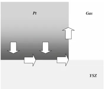 Fig. 9 Scheme of the path of reappearance of the anodically generated hidden Pt–O promoters during open-circuit relaxation after current interruption