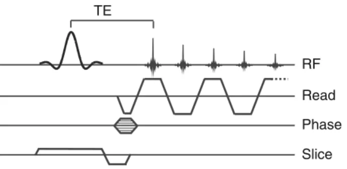 Fig. 2 Schematic diagram of the echo planar spectroscopic imaging (EPSI) sequence. Slice selective excitation is followed by phase encoding