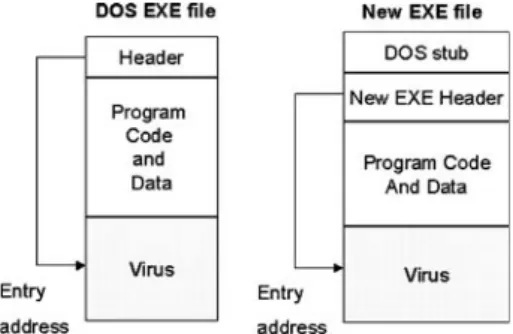 Fig. 1 Virus positions in EXE and document files