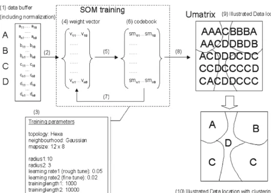 Fig. 5 Process of SOM training and visualization