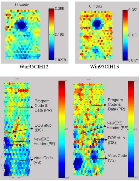 Fig. 9 SOM projections of Windows EXE files infected by Win95.CIH v1.2 and v1.3 viruses