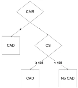 Fig. 1 Algorithm to evaluate diagnostic accuracy of CMR alone and of the combined approach with CMR and CS
