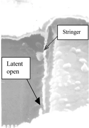 Fig. 5 Inhomogeneous degree of reoxidation performs inhomoge- inhomoge-neous stringer thickness; small opens may cause latent defects