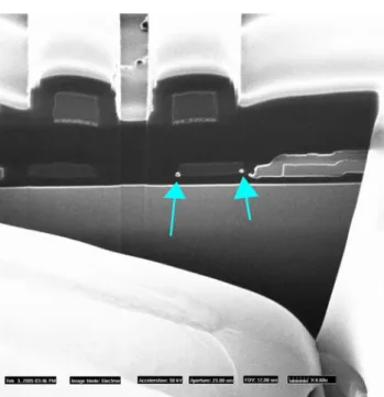 Fig. 6 FIB cross sectionn of a Si stringers: the bright points show that both stringers are connected to backward circuitry