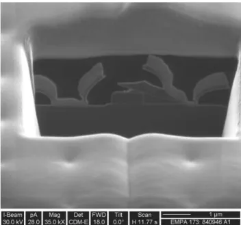 Fig. 13 PolySi residue, causing a severe—but latent—structural failure. The case was functioal at final test but came to analysis as a field failure