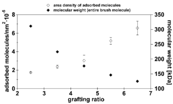 Fig 7 Number of molecules adsorbing per square nanometer and molecular weight of PAAm(14)-g-PEG(5)