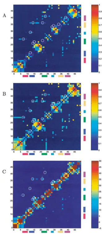 Figure 4. Difference plots for theoretical ROESY spectra of the β -heptapeptide (mixing time: 100 ms) between tumbling rigid (  r −6  -average over full trajectory) and flexible molecules; the numbering of the protons follows the sequence in the peptide wh