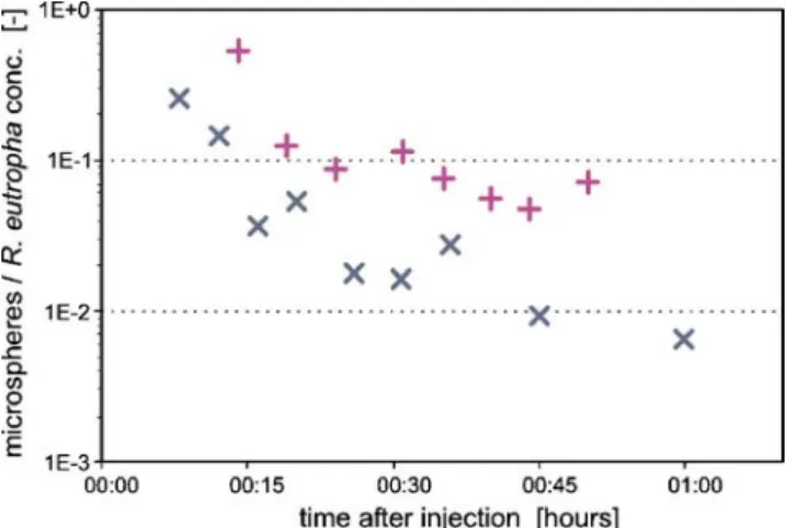 Fig. 6 Differences in particle-tracer responses indicating increas- increas-ing divergence as the ﬁeld experiment proceeds