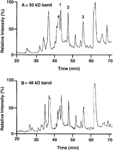FIG. 1. High-pressure liquid chromatography (HPLC) analysis of puri- puri-fied guava 13-hydroperoxide lyase (13-HPL) digested with trypsin:  com-parison of the peptide maps of the 50 and 48 kD protein bands.