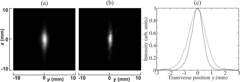 Fig. 7. CCD-camera images of the Rydberg atom cloud in n = 16, k = 0 state (a) and in the n = 15, k = 9 state (b) obtained by operating the deceleration stage with time-independent voltages V 1 = −V 2 = 880 V and V 3 = V 4 = 0 V