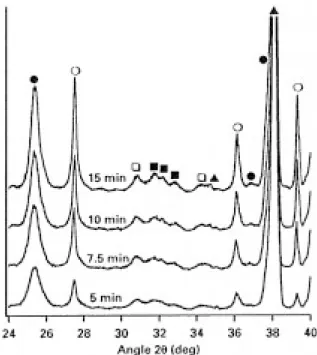 Figure 3 X-ray diffraction pattern of a coating prepared with a sol and crystallized at 850  C for 10 min at various temperatures