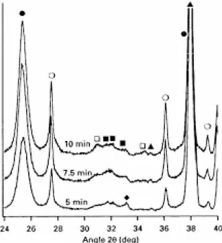 Figure 5 X-ray diffraction pattern of a coating prepared with a solution and crystallized for 10 min at various temperatures: (d) TiO 2 anatase, (s) TiO 2 rutile, (&amp;) OHAp, (&amp;) b-TCP, (r) CaTiO 3 , (m) substrate.