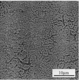 Figure 14 Scanning electron micrograph of a calcium phosphate titanium dioxide coating produced with a diluted sol precursor (0.25 M in titanium) after crystallization for 10 min at 850  C