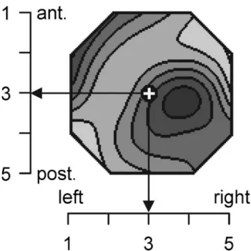 Fig. 1 Example for the quantification of the spatial distribution of spectral amplitude