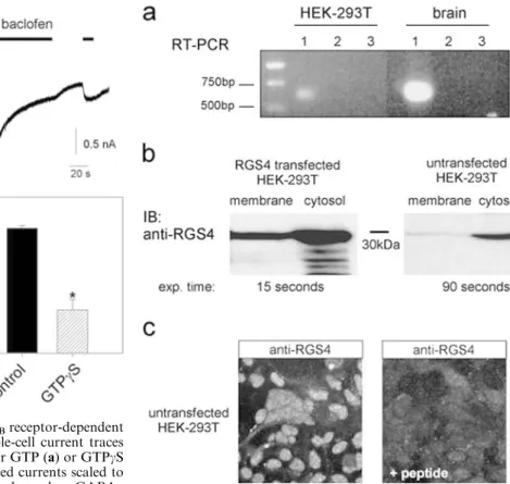 Fig. 5 Intracellular GTPcS attenuates GABA B receptor-dependent desensitization of GIRK channels