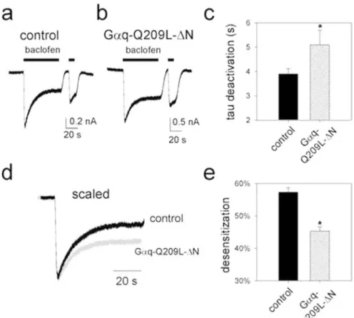 Fig. 7 Coexpression of Gaq-Q209L-DN attenuates GABA B recep- recep-tor-dependent desensitization