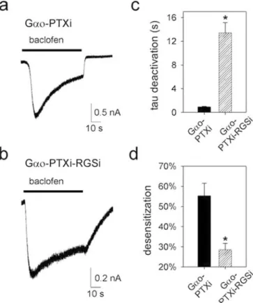Fig. 8 Coexpression of RGS-insensitive Gao G-protein produces less GABA B receptor-dependent desensitization of GIRK2  cur-rents