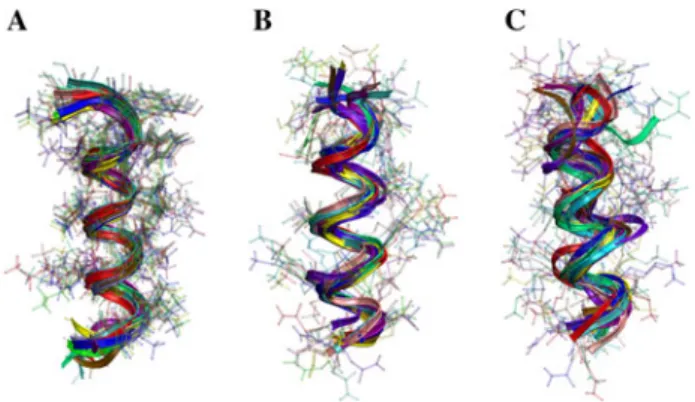 Fig. 6 Time series of