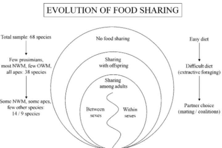 Fig. 4 This figure summarizes our findings on the evolution of food sharing in primates: Of the 68 species in the total sample, sharing with offspring evolved in the subset of those with relatively difficult diets, as measured by the degree of extractive f