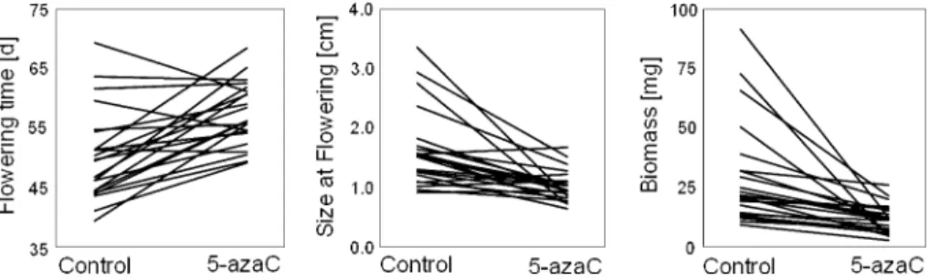 Fig. 2). On average, demethylated plants that grew at high nutrient levels flowered 4.4 days later than demethylated plants at low nutrient levels, while in control (i.e.,  non-demethylated) plants there was a tendency for nutrients to have the opposite ef