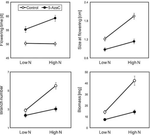 Fig. 2 The effect of experimental demethylation through 5-azacytidine on the average phenotypic plasticity of 22 genotypes of Arabidopsis thaliana in response to increased nutrient availability