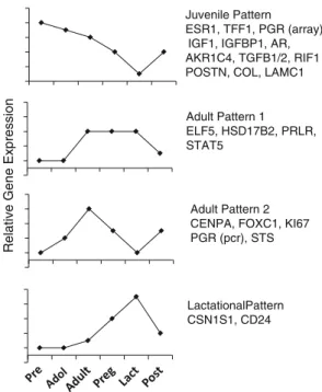 Fig. 5 Schematic illustration of predominant patterns of gene expression from the microarray data