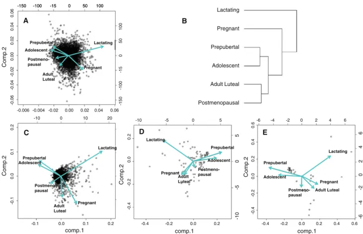 Fig. 2 Principal components analysis (PCA) of gene expression profiles in the breast across life stages and corresponding hierarchical clustering dendrogram (b)