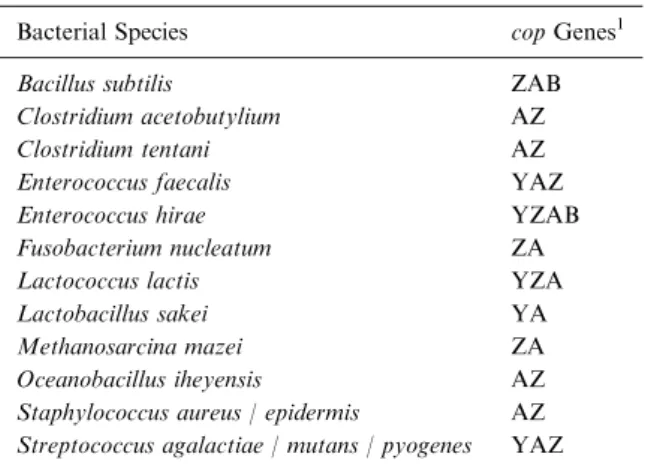 Table 1. Arrangement of cop genes in diﬀerent Gram-positive bacterial species.