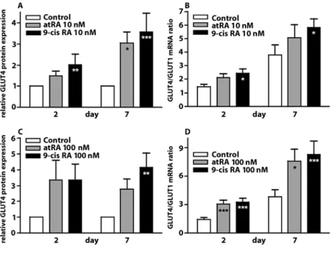 Fig. 1 Retinoic acids increase GLUT4 expression in the  dedifferentiation-red-ifferentiation model