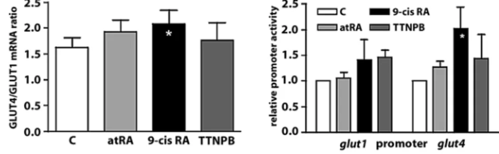 Fig. 7 Effects of RA on GLUT4 expres- expres-sion in neonatal rat cardiomyocytes.