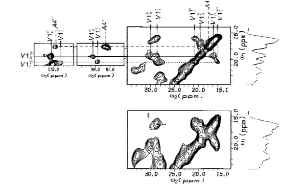Fig. 2. Two-dimensional 13 C spectra of fully 13 C-labelled antamanide, recorded at 100 MHz carbon frequency and room temperature, displaying the connectivities for the two valine rotamers and for alanine: (a) with homonuclear decoupling in ω 1 ; (b) witho