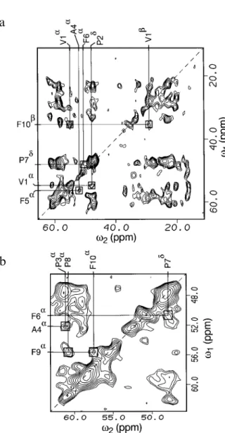 Fig. 3. Two-dimensional 13 C spectra of fully 13 C-labelled antamanide, with long mixing times for interresidue cross peaks (see text): (a) no homonuclear decoupling (τ m = 150 ms); (b) with homonuclear decoupling in ω 1 ( τ m = 100 ms)