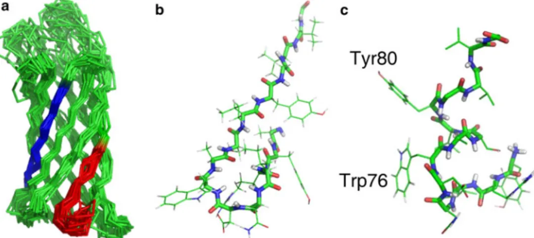 Fig. 1a) (Tamm et al. 2001; Wimley 2003; Tafer et al.