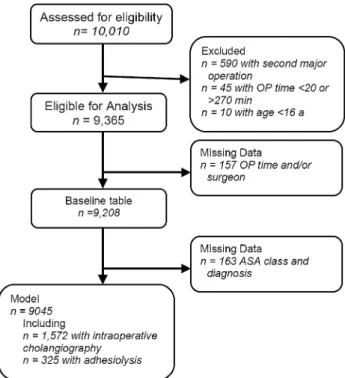 Fig. 1 Flow of patients in- and excluded in the analysis