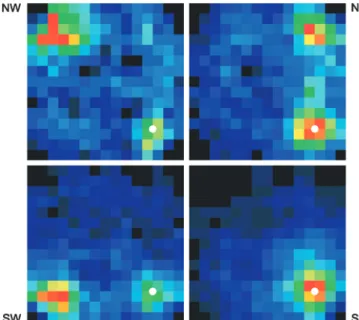 Fig. 10 Search density distributions of ants, which have been trained to a goal (white dot) located asymmetrically within a 4-cylinder array (compare the 3-cylinder array in Fig