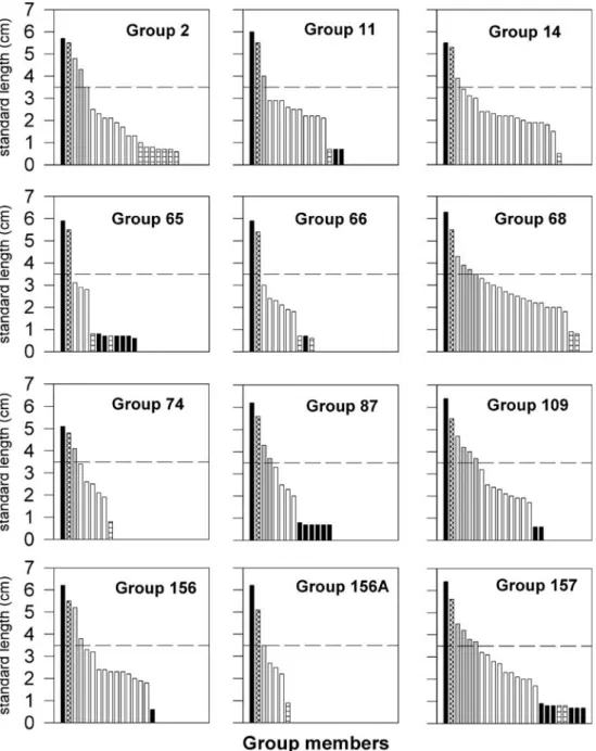 Fig. 1 Sizes and sex-specific composition of the studied groups. Black bars mark the male territory owner (the largest individual was always the male breeder) and the offspring  fa-thered by these males