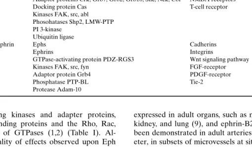 Table I. List of Molecules Known to Either Interact or Communicate With Eph Receptors and Ephrin Ligands (for Review See Ref