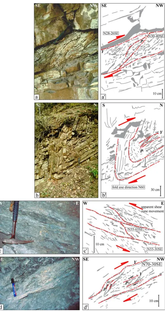 Fig. 6 Outcrop-scale structures associated with the F 1 fault system. a Shear sense indicators in the flysch of the Chugovista Formation