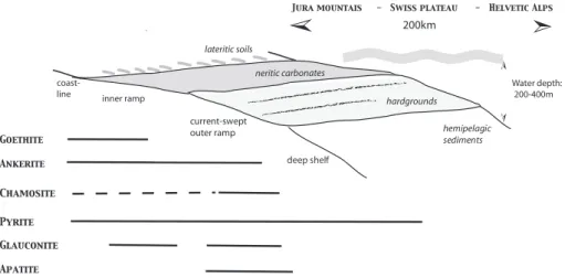 Figure 9 shows a transect through the northern Tethys margin (Jura – Helvetic Alps) from coastal to hemipelagic areas