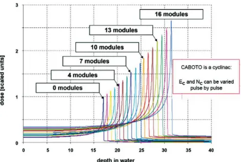 Fig. 9. The carbon ion depth dose distribution when the number of the active accelerating modules of the linac is varied one by one