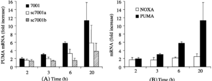 Figure 2. Antisense oligonucleotide 7001 increases the level of PUMA mRNA. (A) SH-SY5Y cells were incubated with 600 nM oligonucleotides 7001, sc7001a or sc7001b, and harvested after the indicated time periods