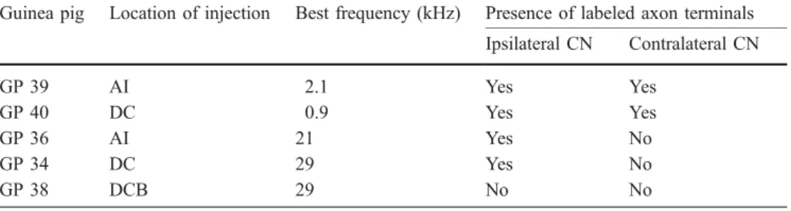 Table 1 Properties of biotinyla- biotinyla-ted dextran amine injection sites and presence of labeled axons in the cochlear nucleus (CN)
