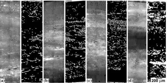 Fig. 3 / f normalized with respect to the overall mean fiber volume fraction / m for successive layers (numbered from top to bottom) through the thickness of the GMT specimens of set 2