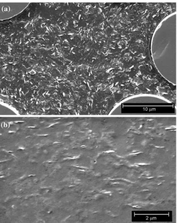Fig. 5 Stress–strain curves obtained during tensile tests on compres- compres-sion molded specimens of iPP and iPP/MMT nanocomposites
