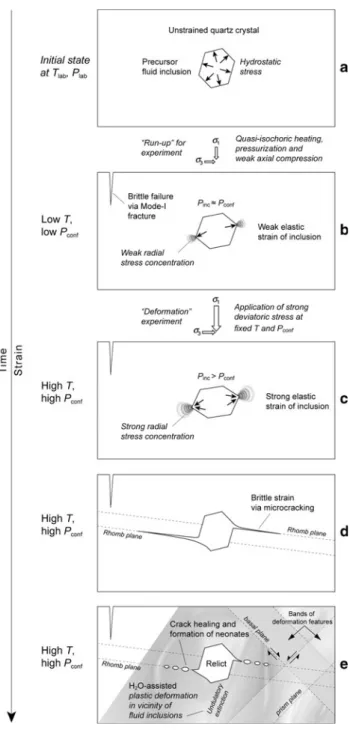 Fig. 11 Schematic illustration (not to scale) of interpreted steps in fluid inclusion deformation that explain the post-experimental  obser-vations summarized in Fig