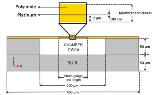 Fig. 1 CAD model comprising the polyimide membrane, the platinum as piezoresistive material and the SU-8 enclosed chamber (cross-section along the device width)