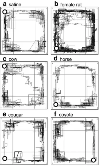 Fig. 2 Typical examples of traces of one rat during exposure to the saline control (a), to urine of a female rat (b), to urine of the nonpredator cow (c) and horse (d), and to urine of the predator cougar (e) and coyote (f)
